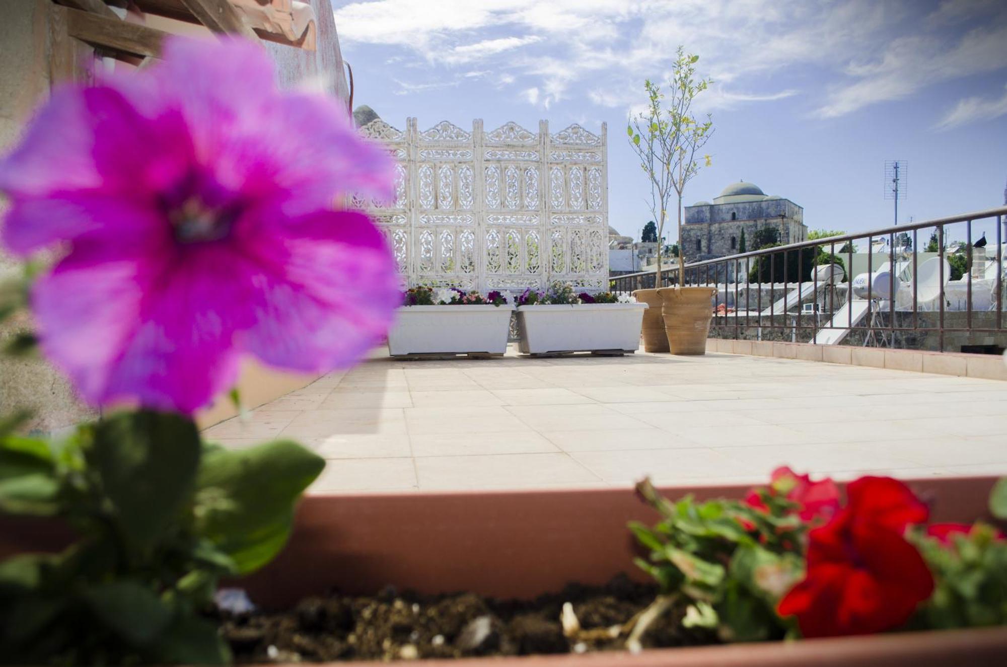 Petrino Lejlighedshotel Rhodes City Værelse billede